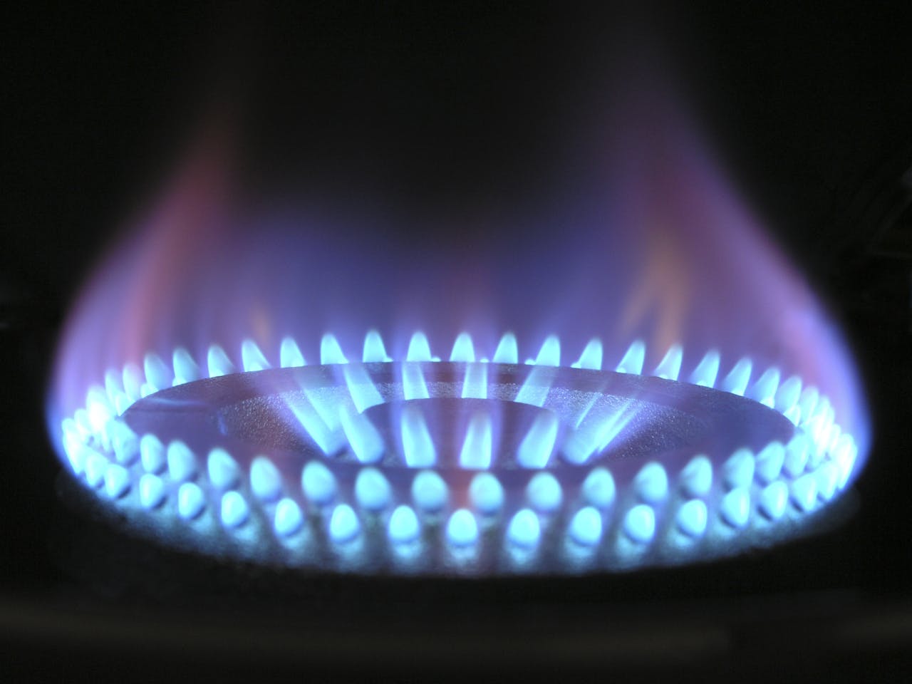 home-hero A detailed view of a blue flame on a gas stove, illustrating heat and warmth.